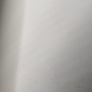 Meet your Posher, Devon